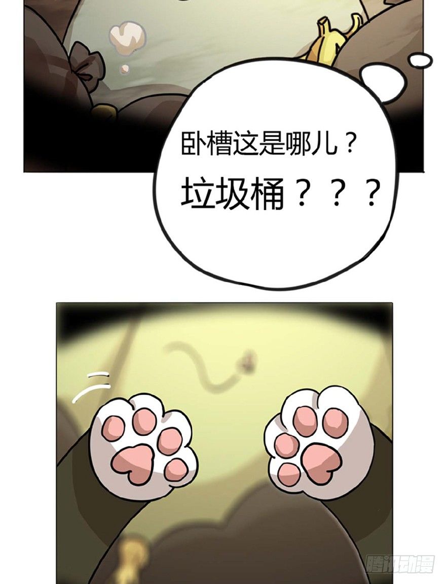 第1爪 猫？猫！-第1话