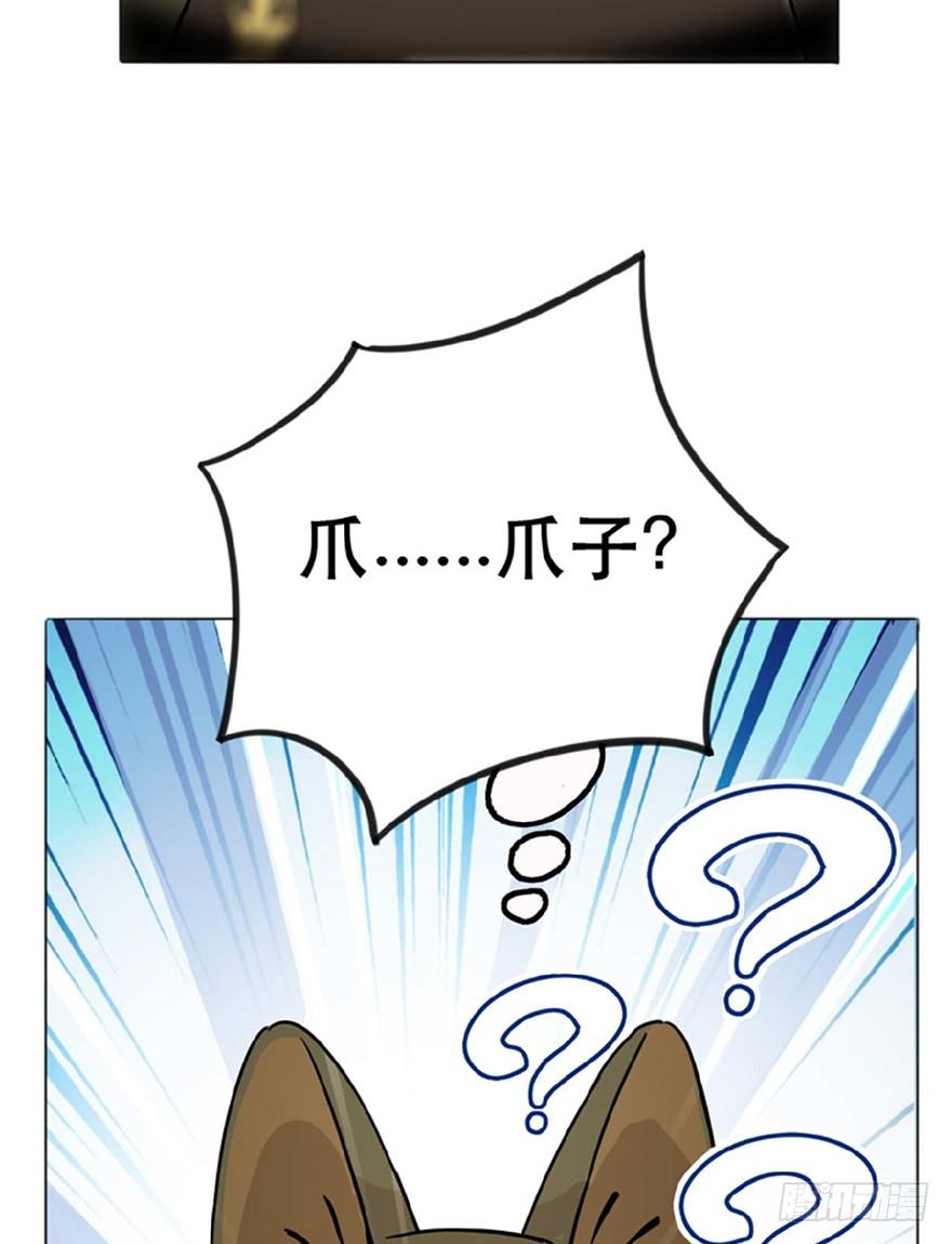 第1爪 猫？猫！-第1话