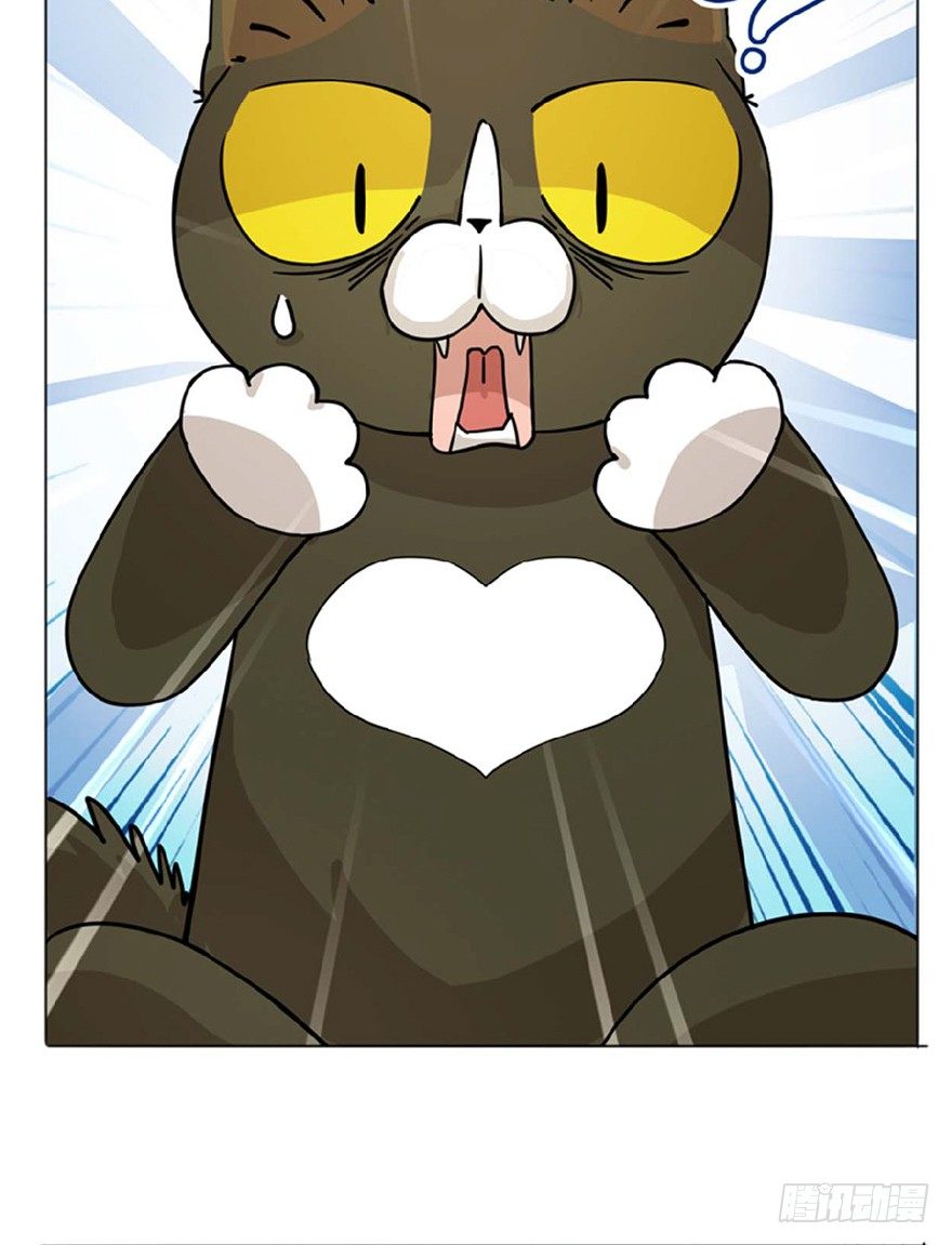 第1爪 猫？猫！-第1话