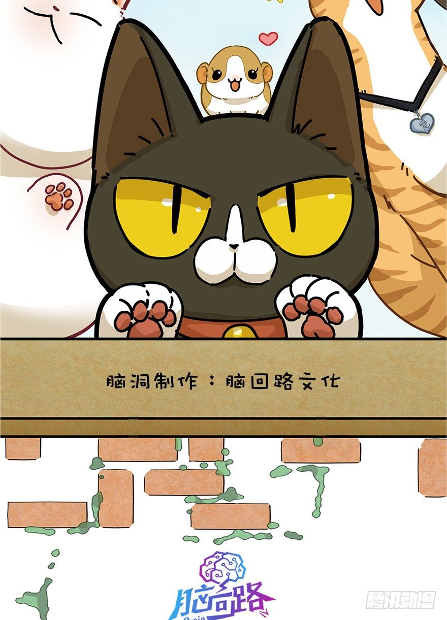 第1爪 猫？猫！-第1话