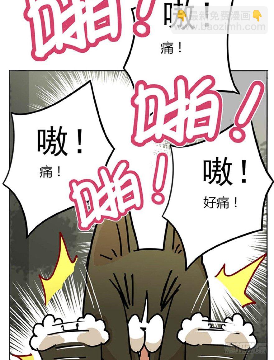 第1爪 猫？猫！-第1话