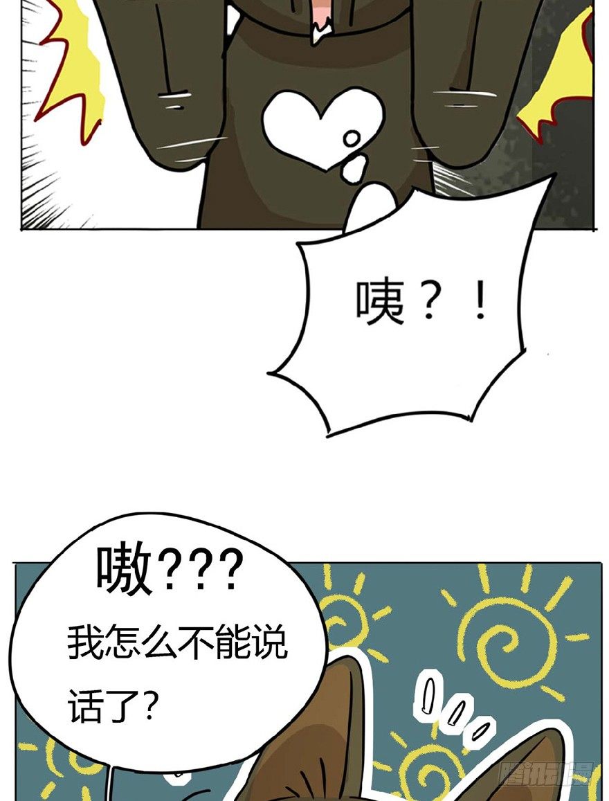 第1爪 猫？猫！-第1话