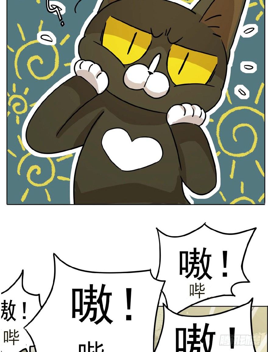 第1爪 猫？猫！-第1话