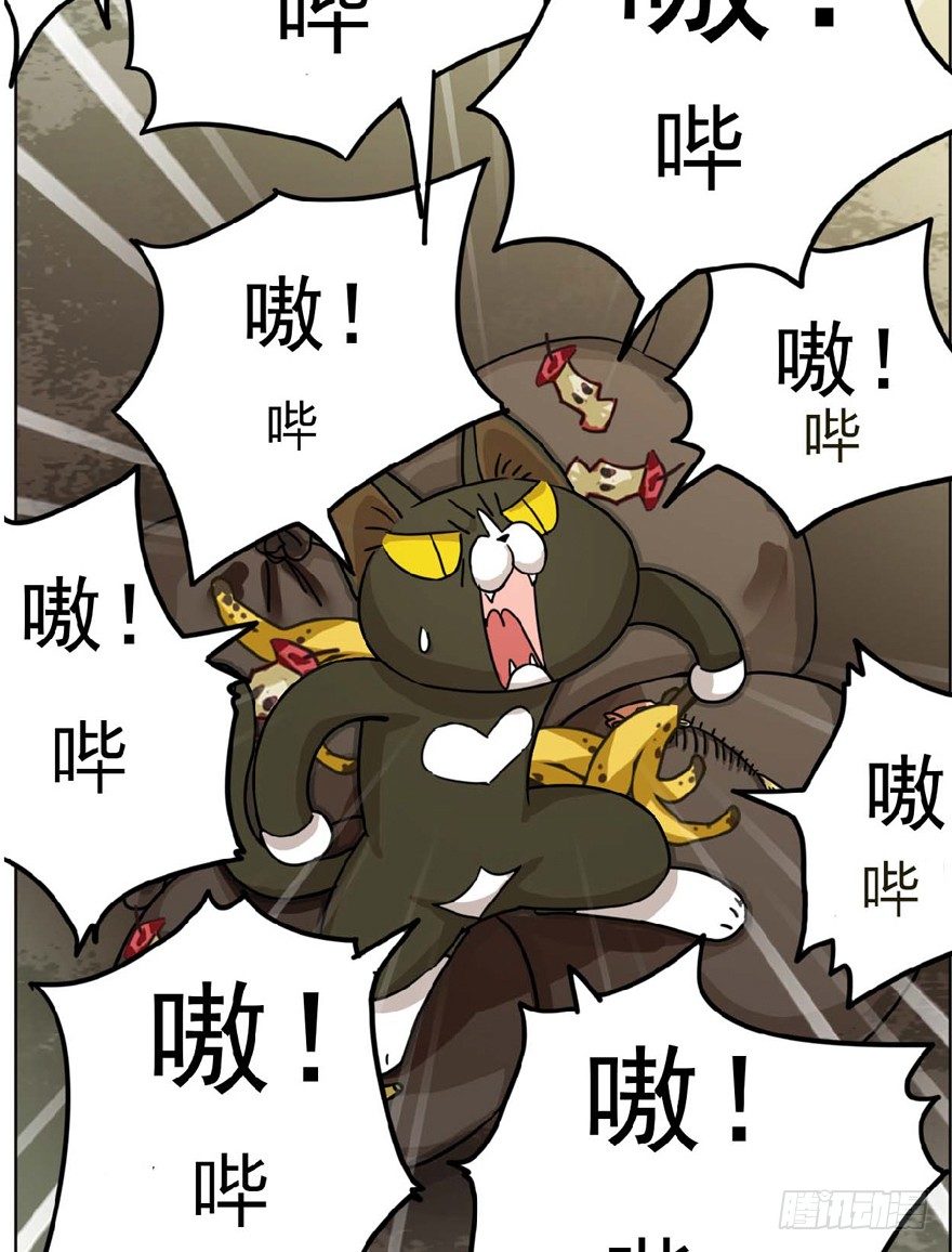 第1爪 猫？猫！-第1话