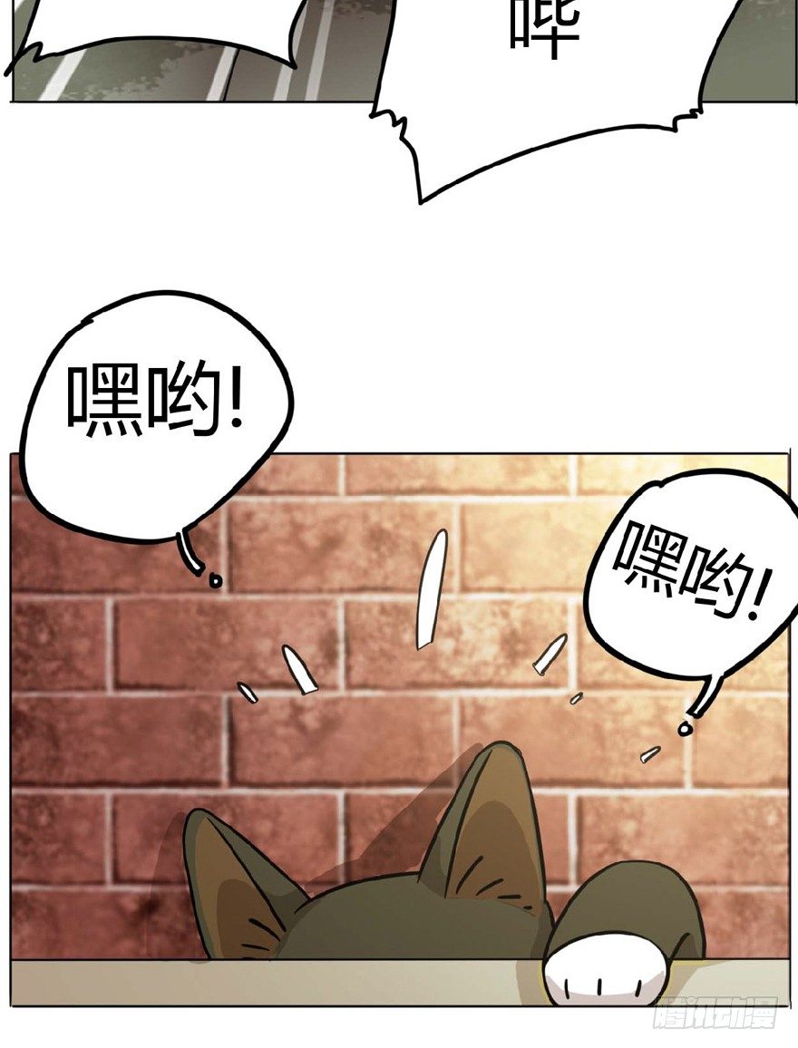 第1爪 猫？猫！-第1话