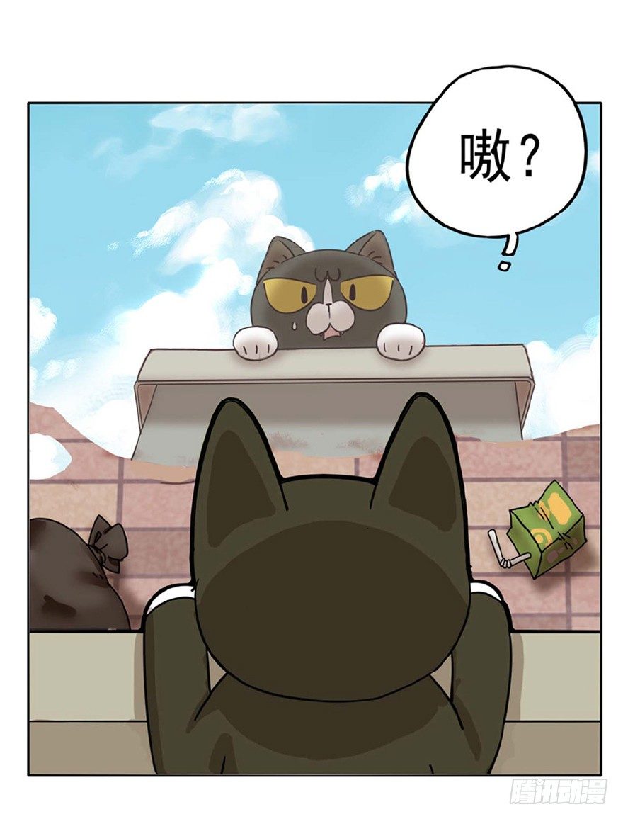 第1爪 猫？猫！-第1话