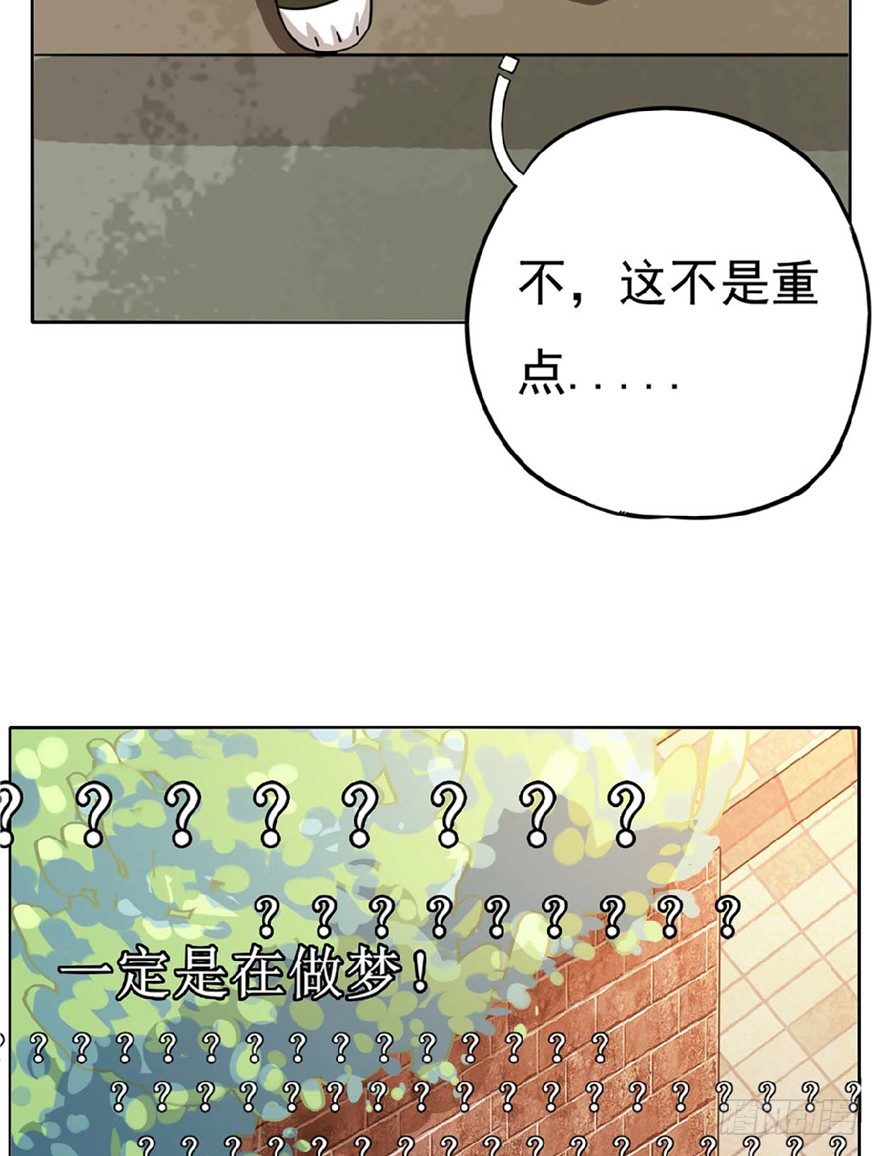 第1爪 猫？猫！-第1话