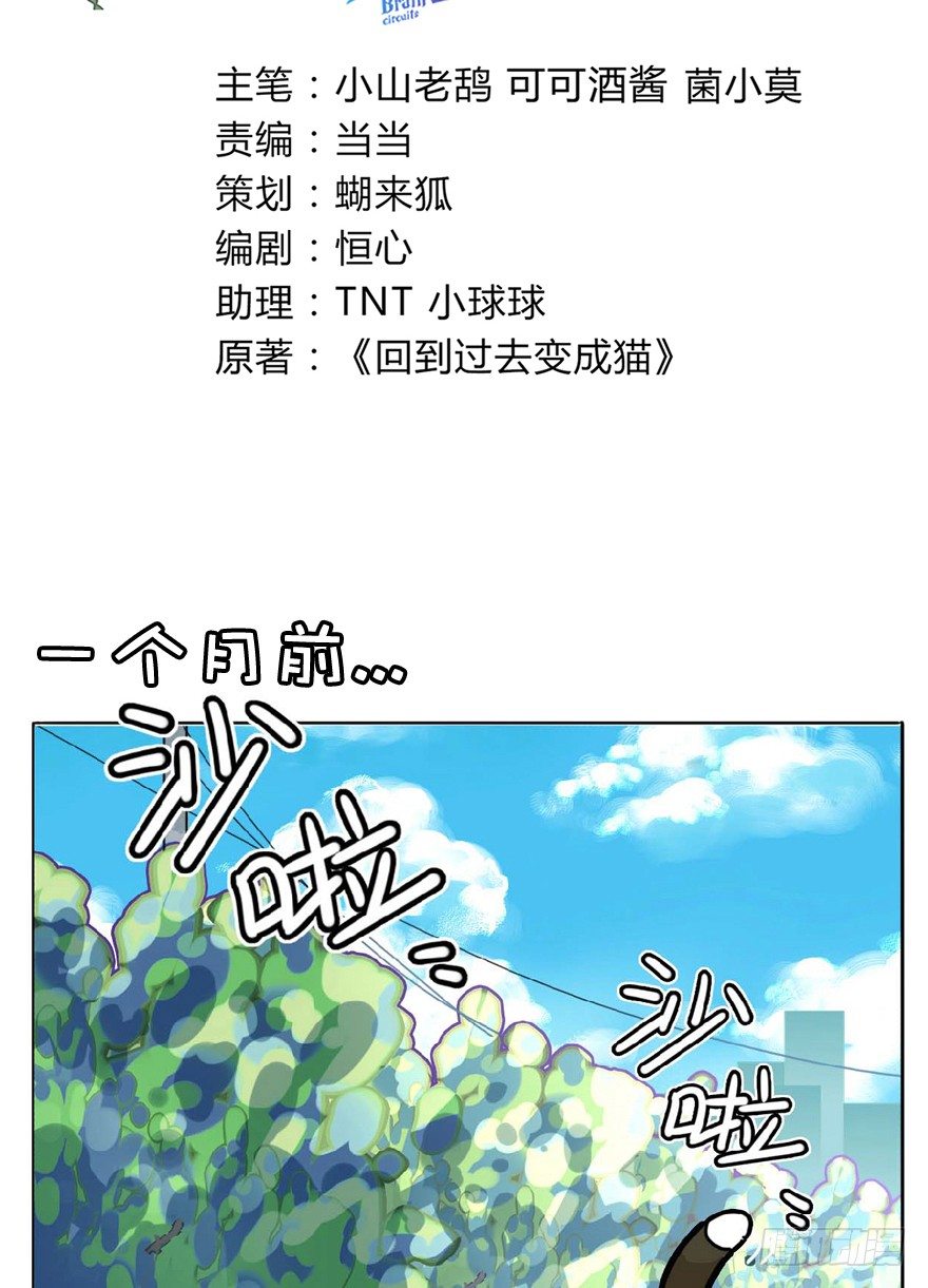 第1爪 猫？猫！-第1话