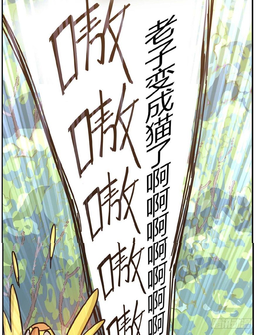 第1爪 猫？猫！-第1话