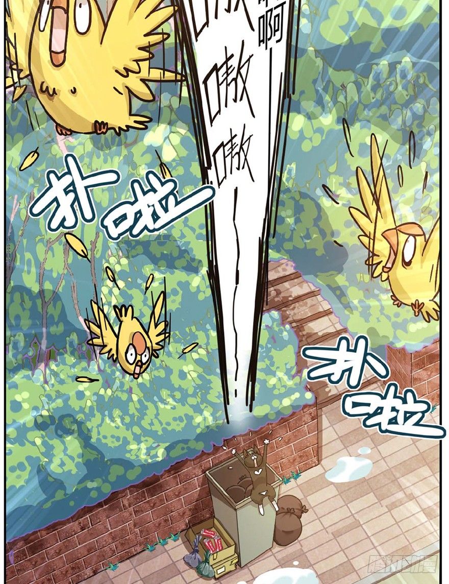 第1爪 猫？猫！-第1话