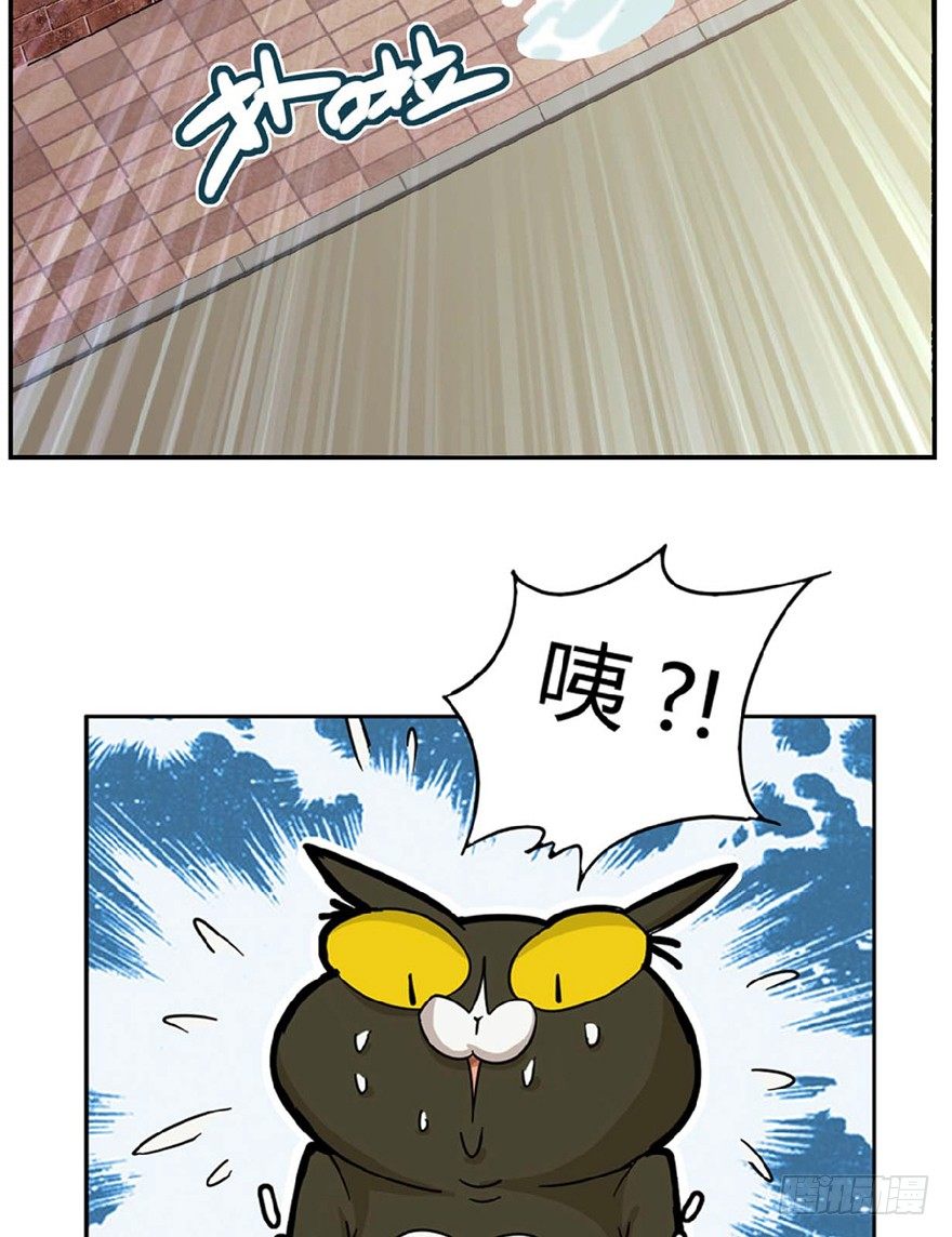第1爪 猫？猫！-第1话