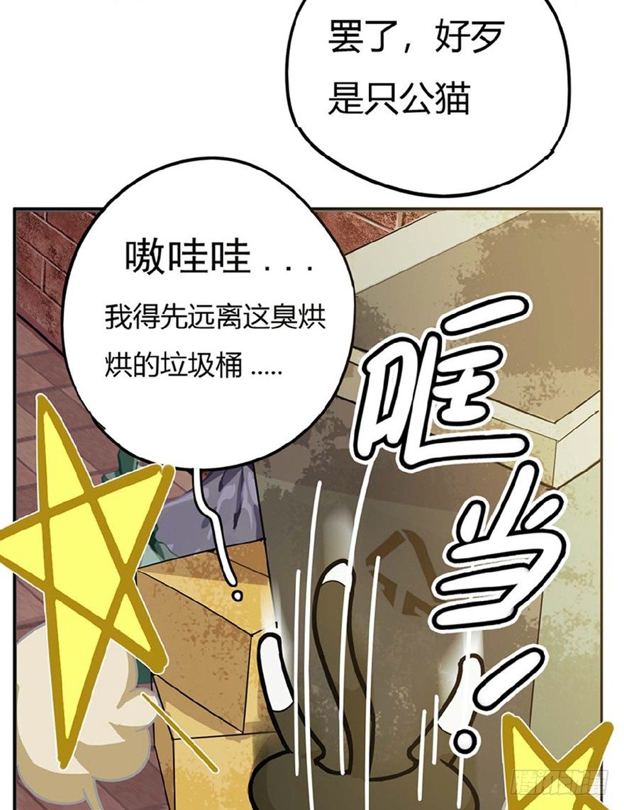 第1爪 猫？猫！-第1话