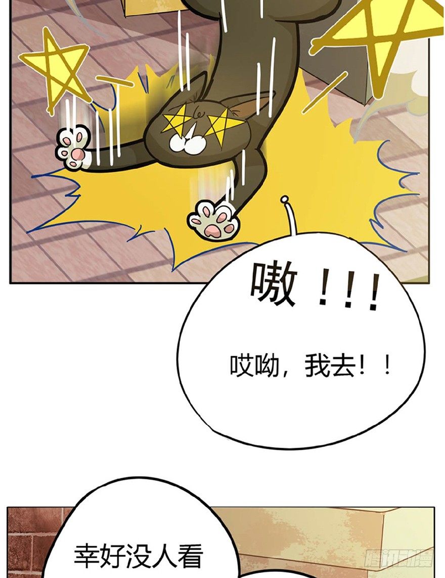 第1爪 猫？猫！-第1话