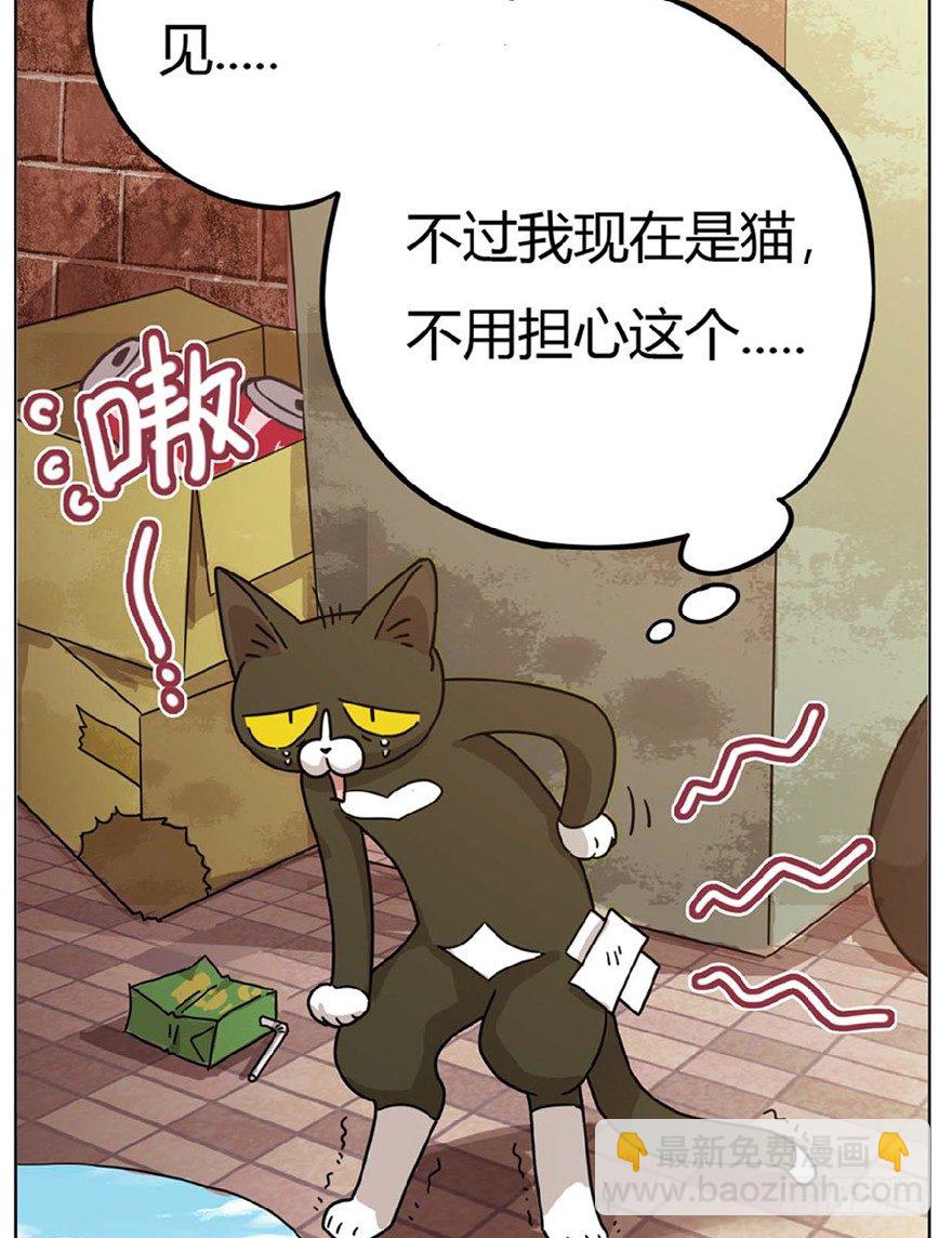 第1爪 猫？猫！-第1话