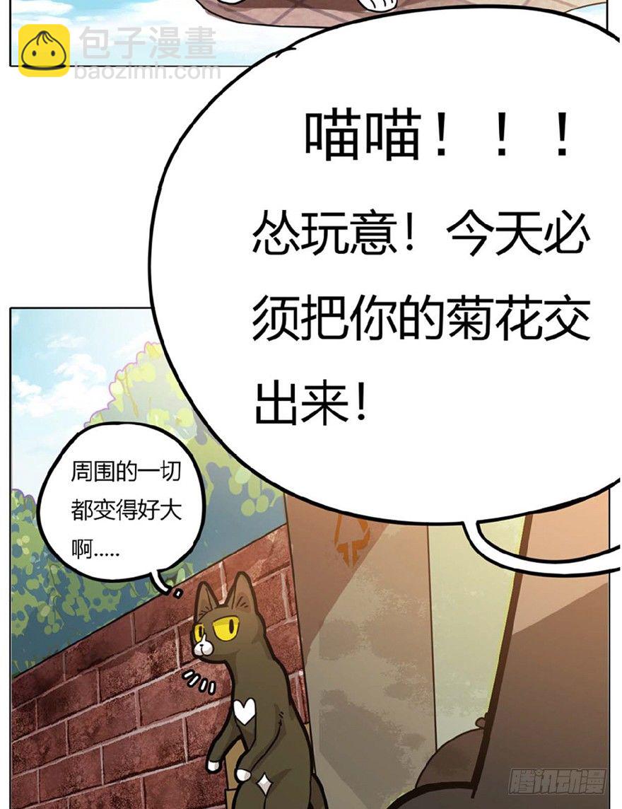 第1爪 猫？猫！-第1话