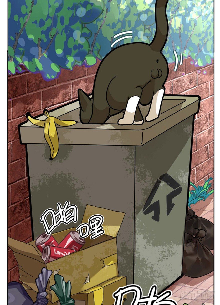 第1爪 猫？猫！-第1话