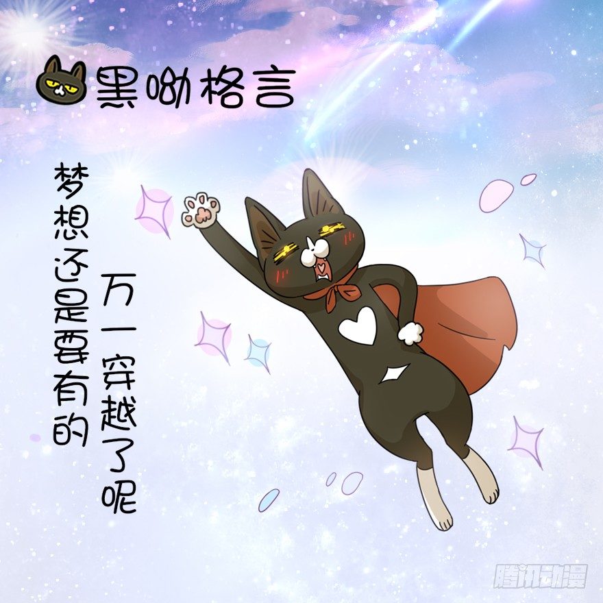 第1爪 猫？猫！-第1话