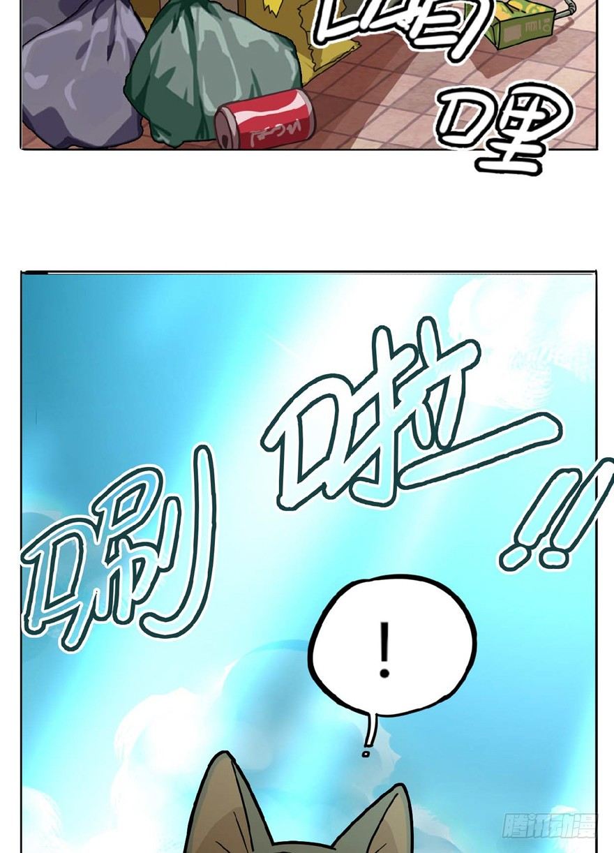 第1爪 猫？猫！-第1话