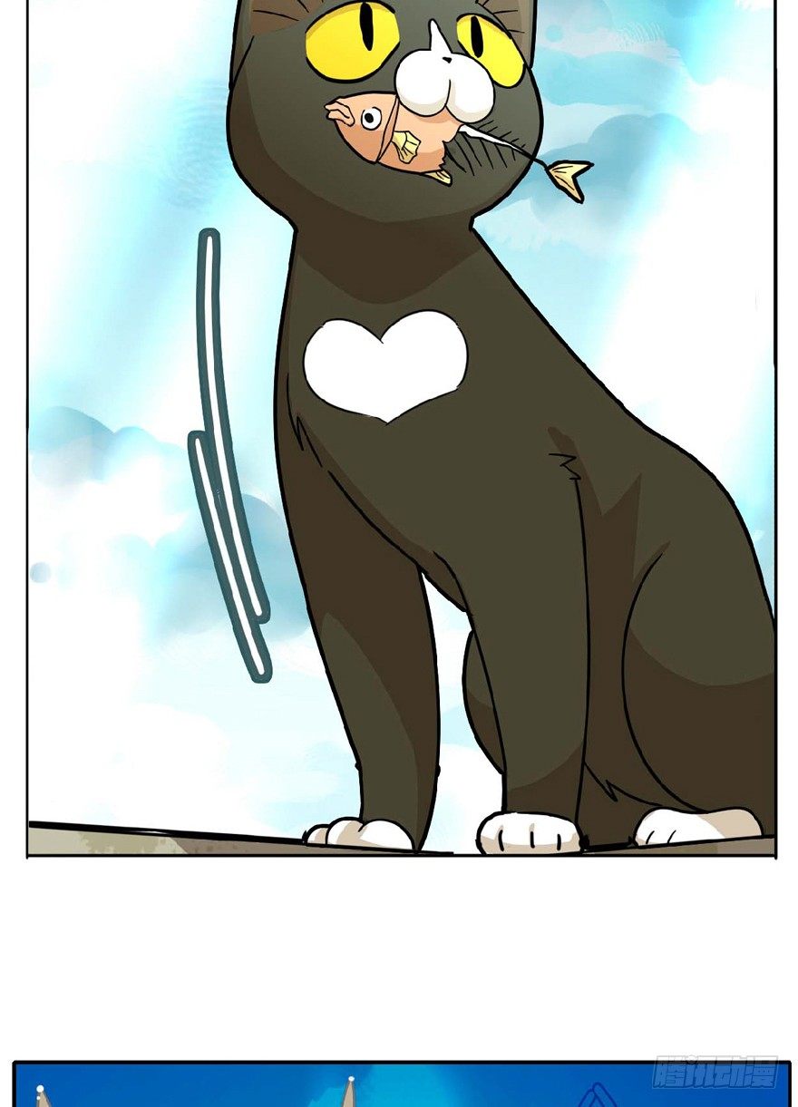 第1爪 猫？猫！-第1话