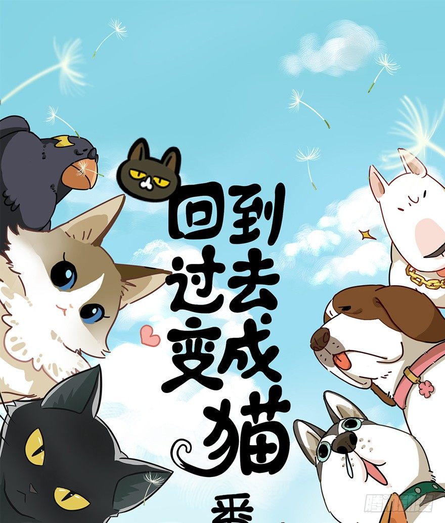 第95爪 &ldquo;大事情&rdquo;-第101话