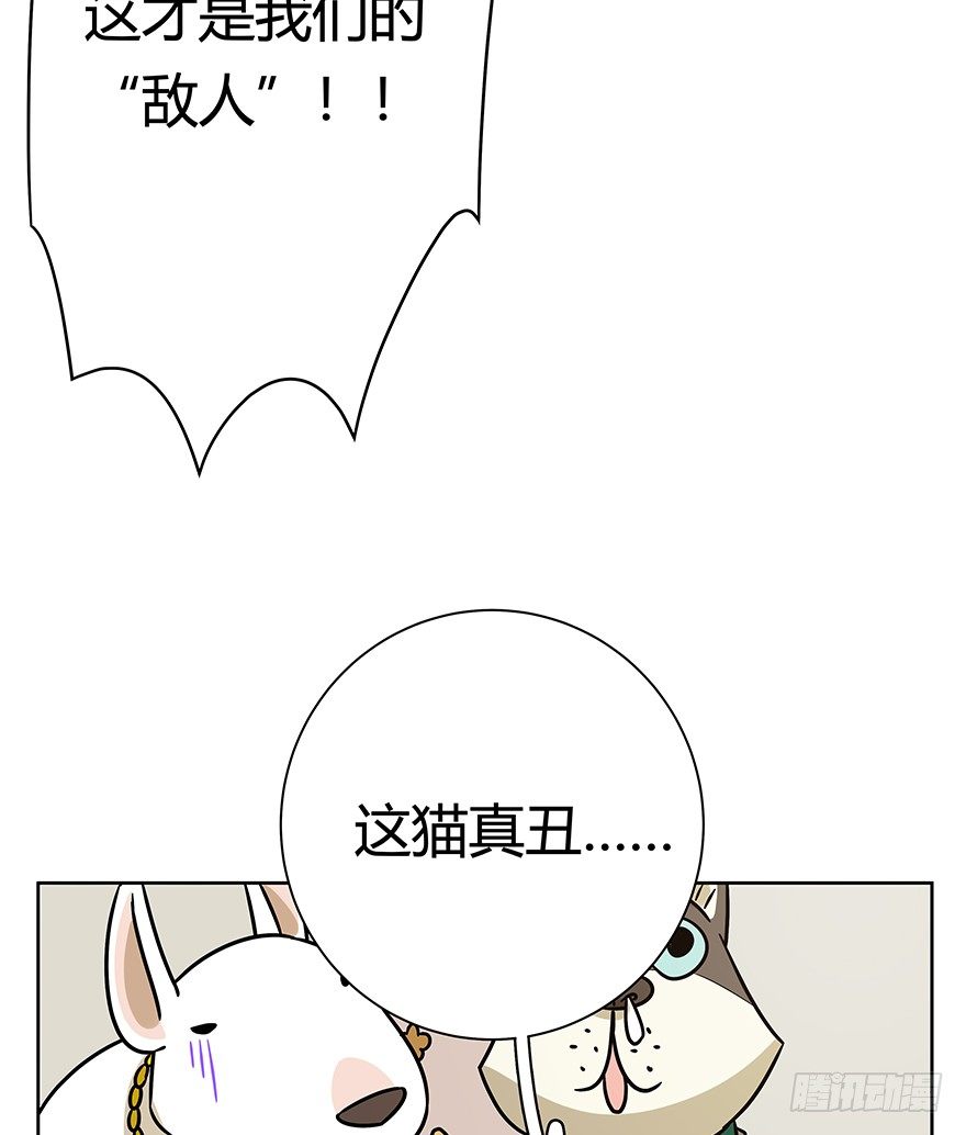 第95爪 &ldquo;大事情&rdquo;-第101话