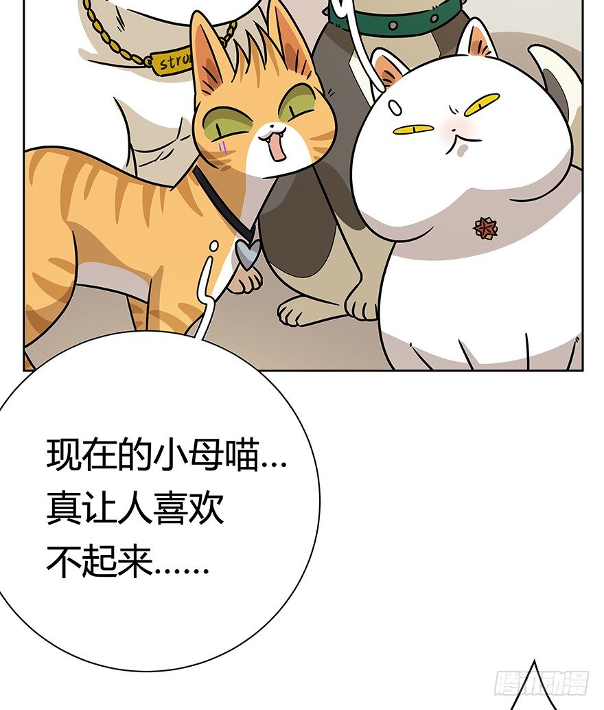 第95爪 &ldquo;大事情&rdquo;-第101话