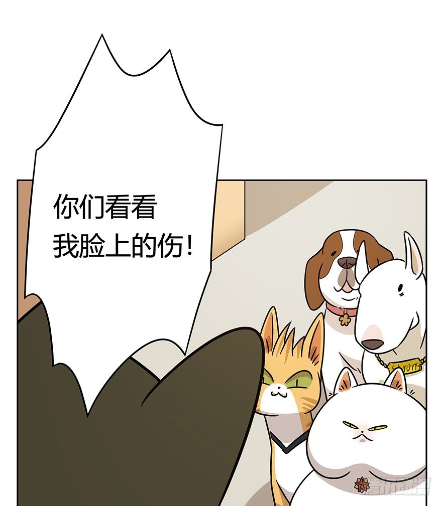 第95爪 &ldquo;大事情&rdquo;-第101话