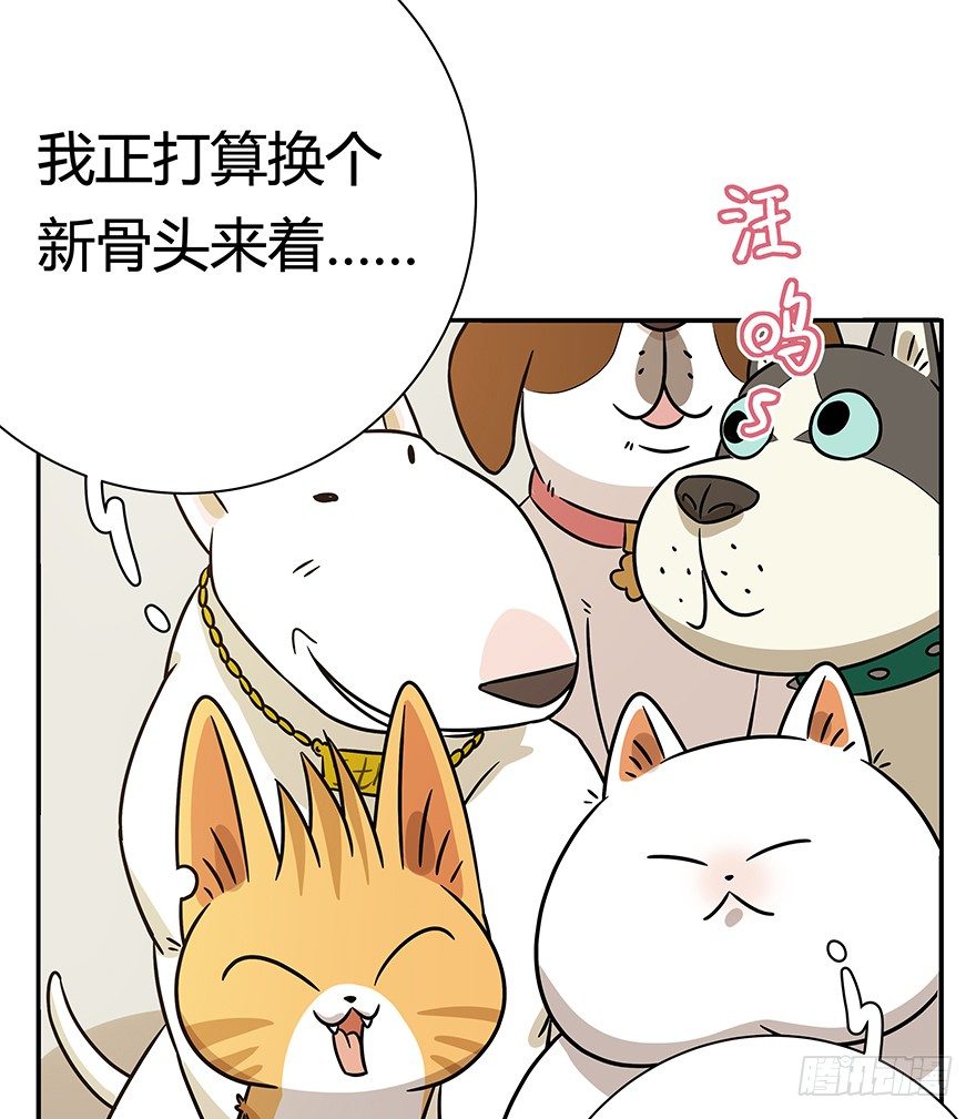 第95爪 &ldquo;大事情&rdquo;-第101话