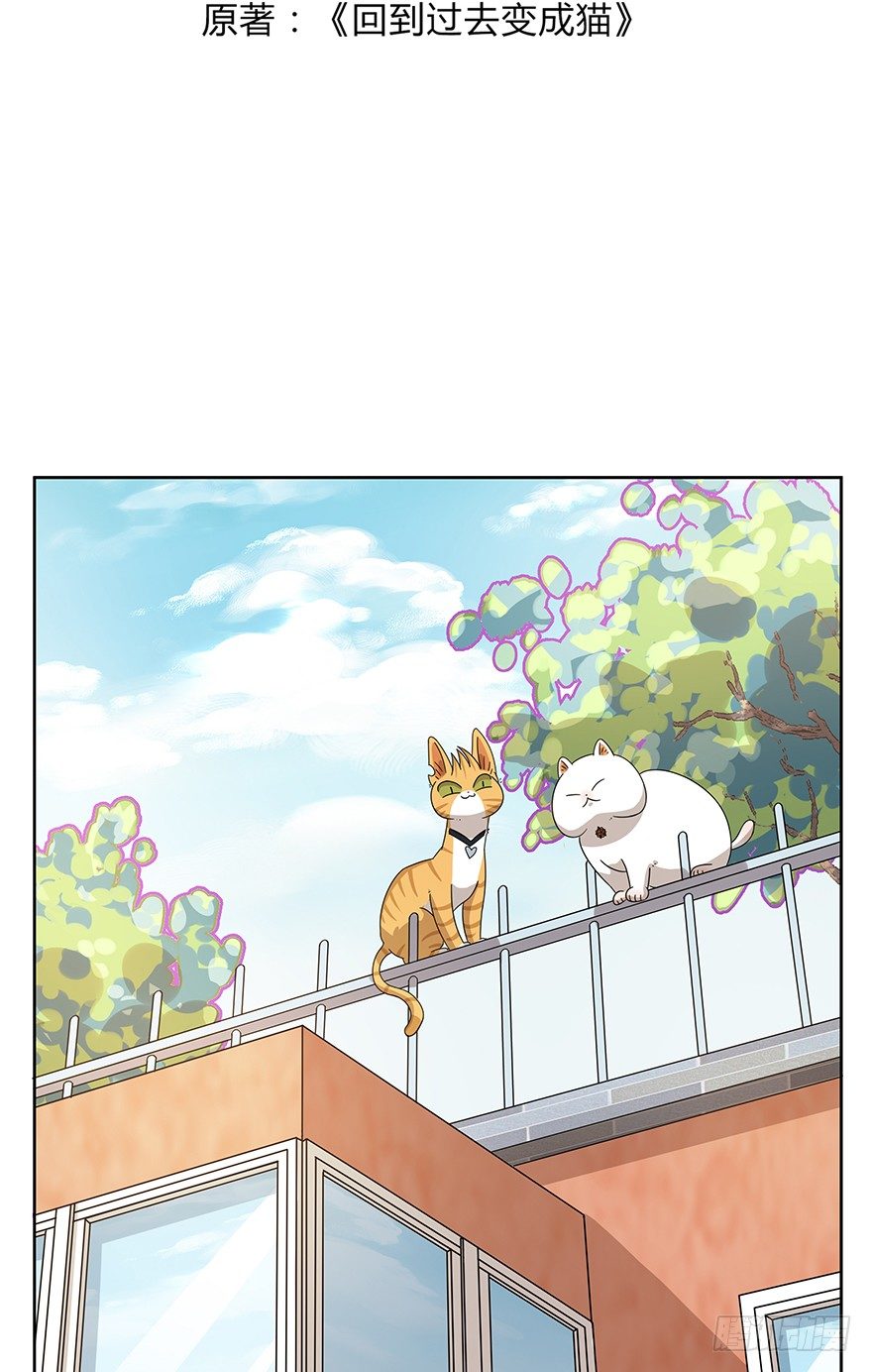 第107爪 一锅端（上）-第113话