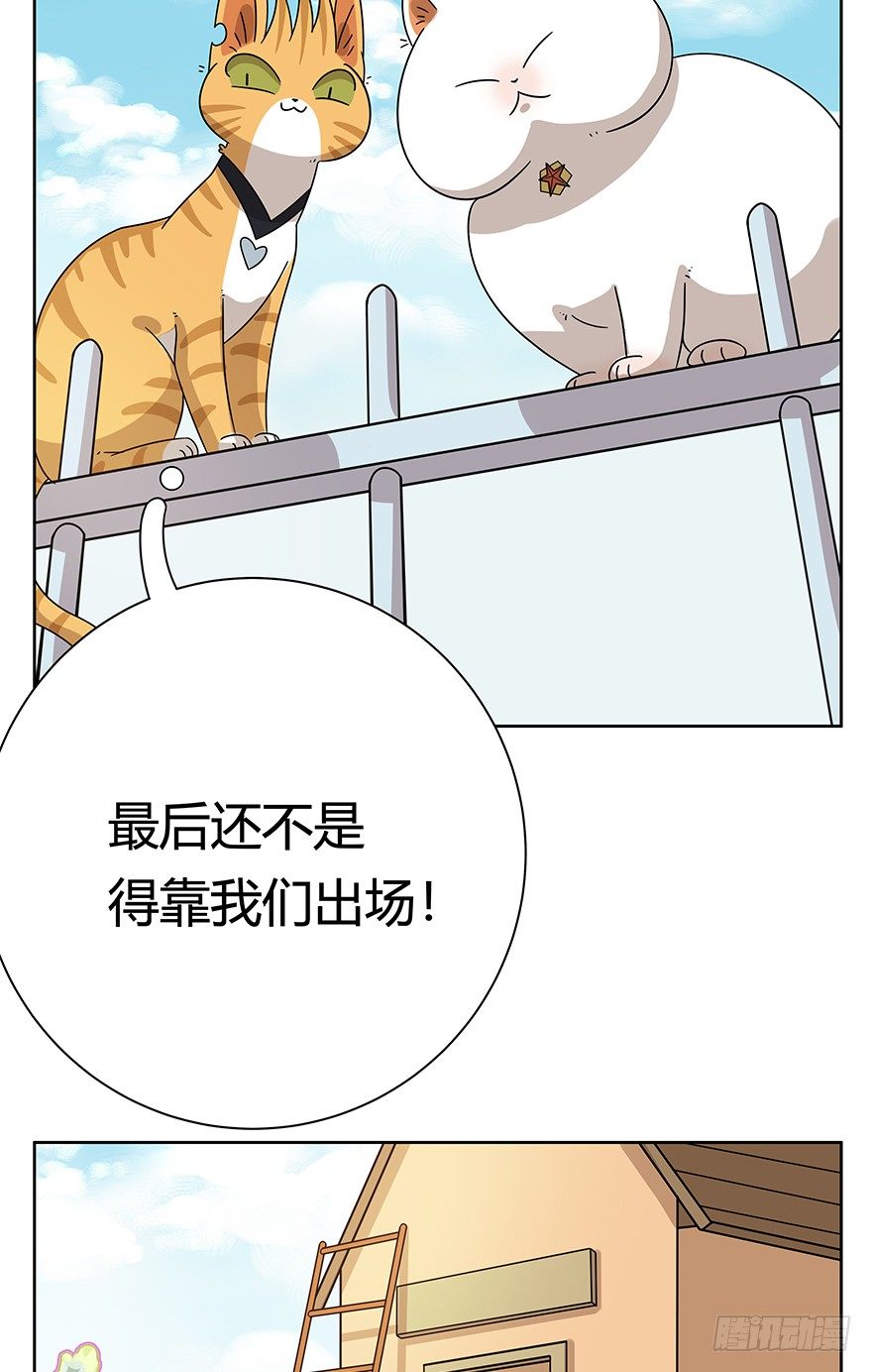 第107爪 一锅端（上）-第113话