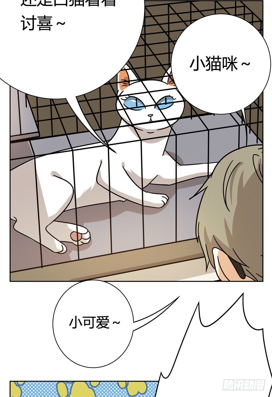 第113爪 敏捷的胖子（上）-第119话