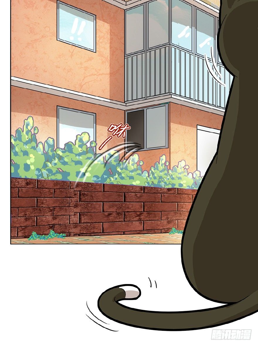第13爪 怕不怕！-第13话