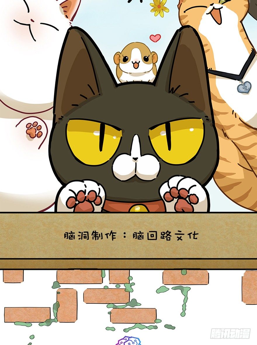第13爪 怕不怕！-第13话