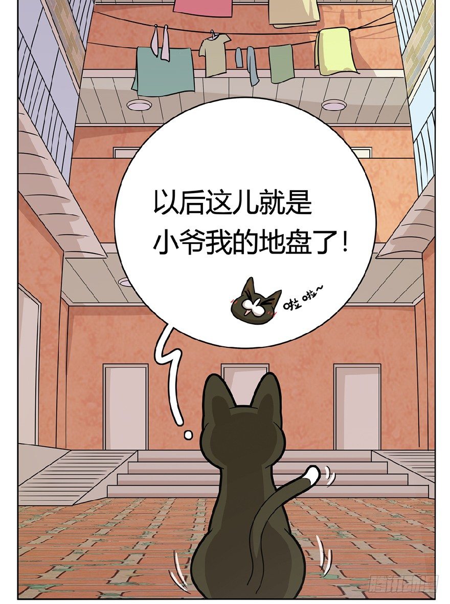 第13爪 怕不怕！-第13话
