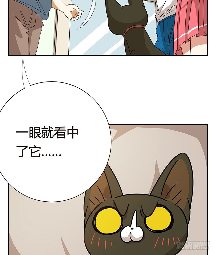 第119话 杀回大本营（下）-第125话