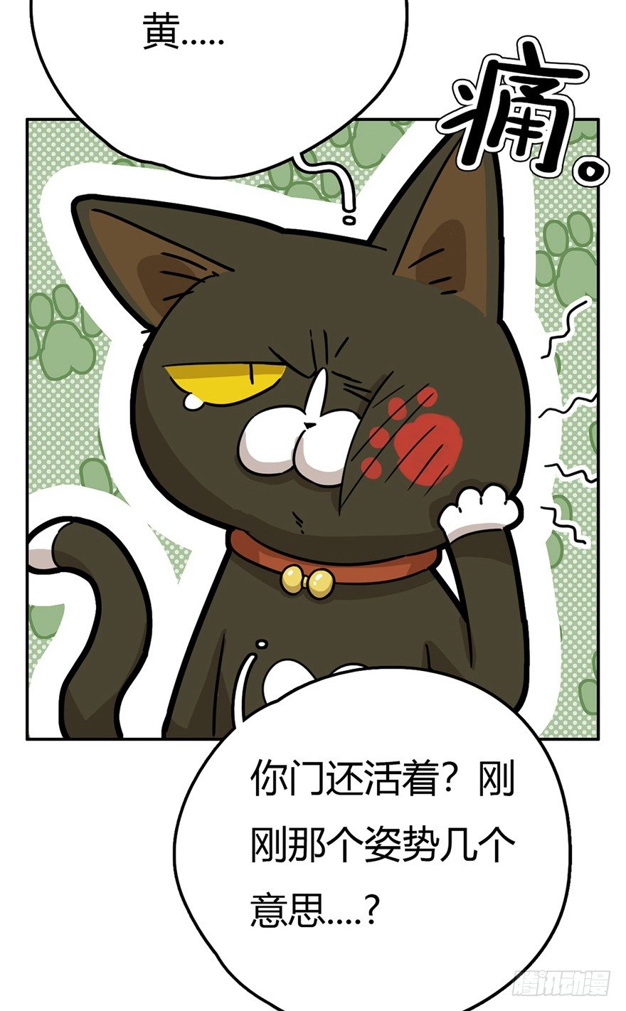 第15爪 亲！强身健脑了解一下吗-第15话