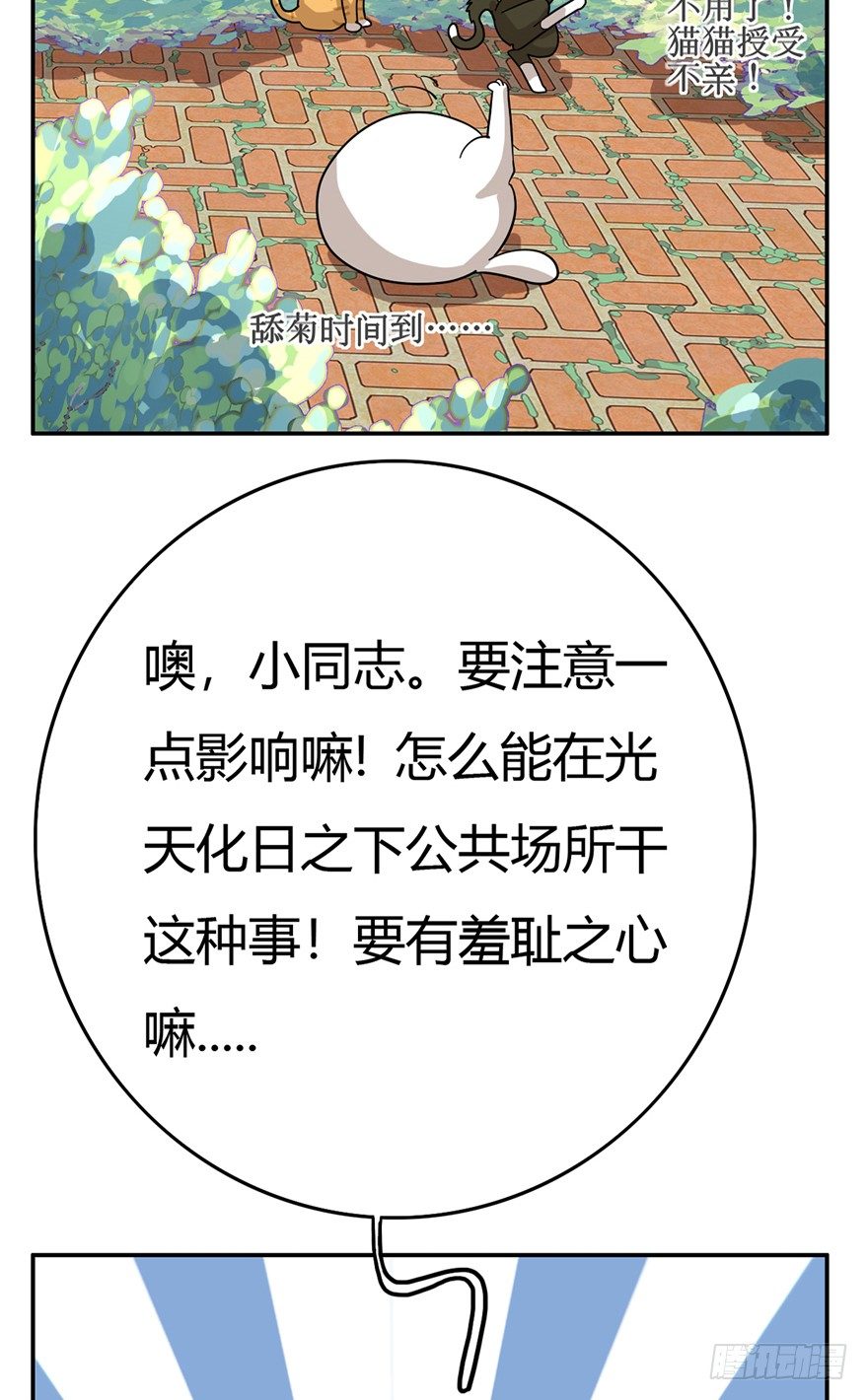 第15爪 亲！强身健脑了解一下吗-第15话