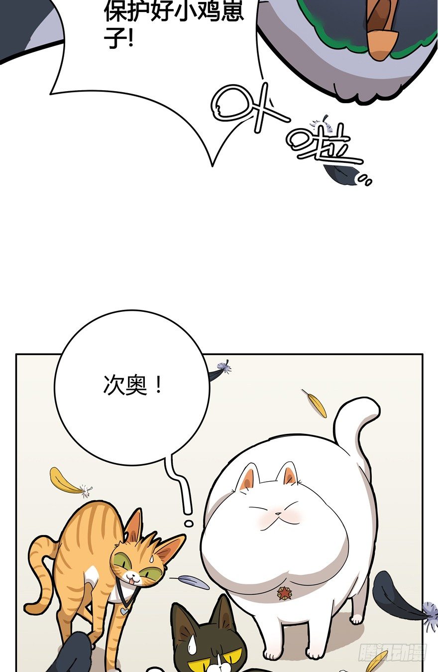 第17爪 猫生赢家（上）-第17话
