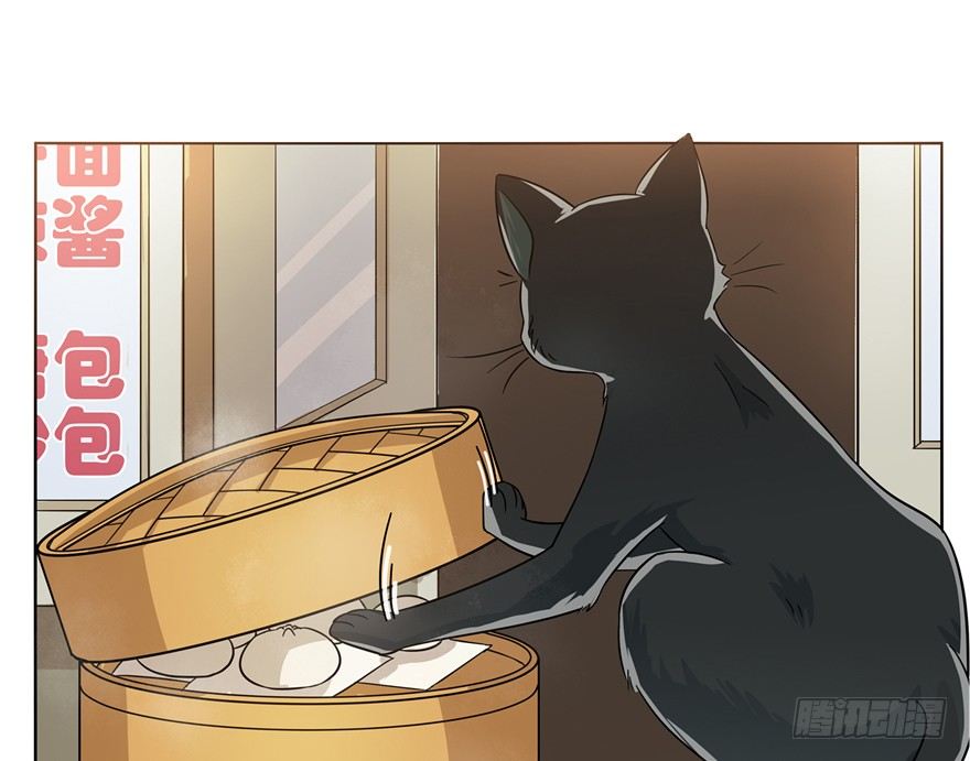 第3爪 做猫第一课（下）-第3话