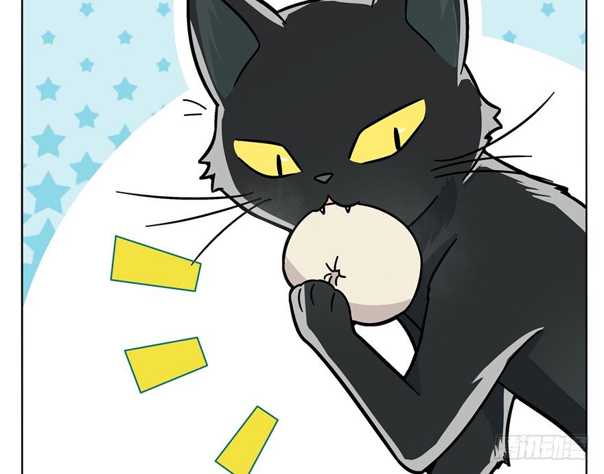 第3爪 做猫第一课（下）-第3话