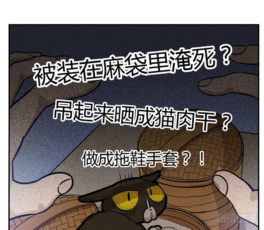 第3爪 做猫第一课（下）-第3话