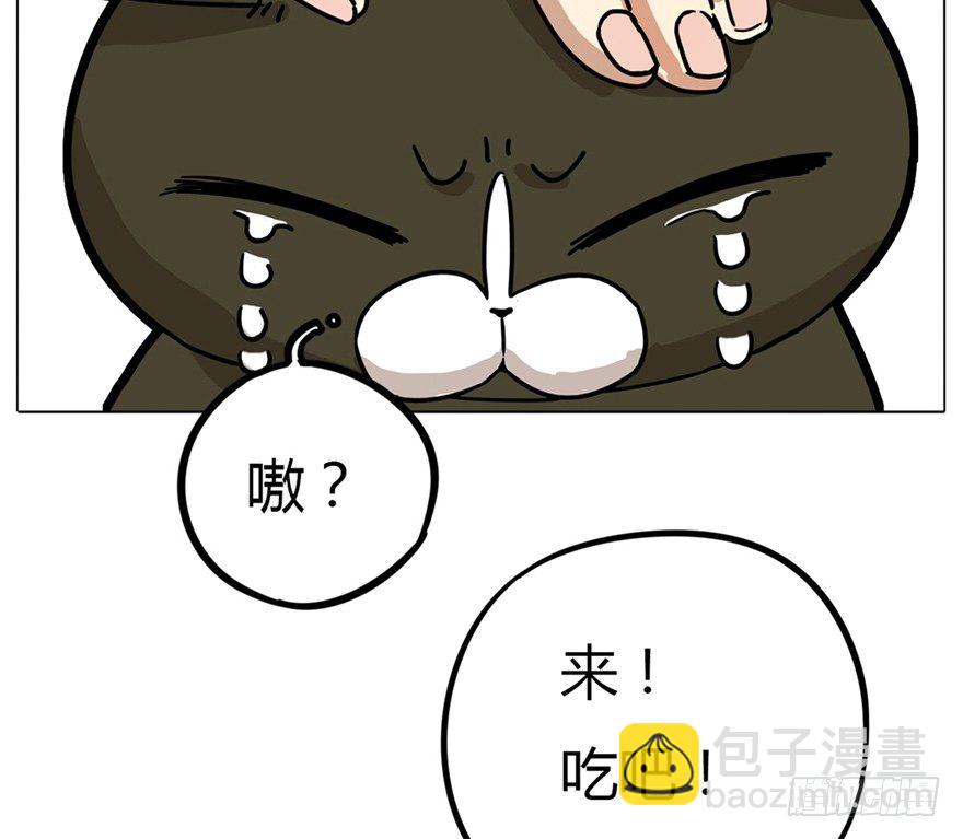 第3爪 做猫第一课（下）-第3话
