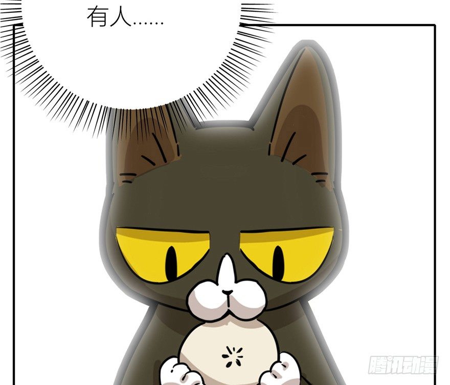 第3爪 做猫第一课（下）-第3话