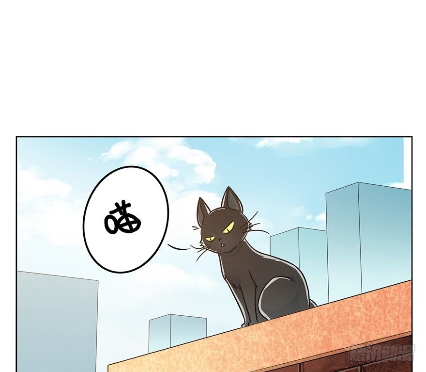第3爪 做猫第一课（下）-第3话