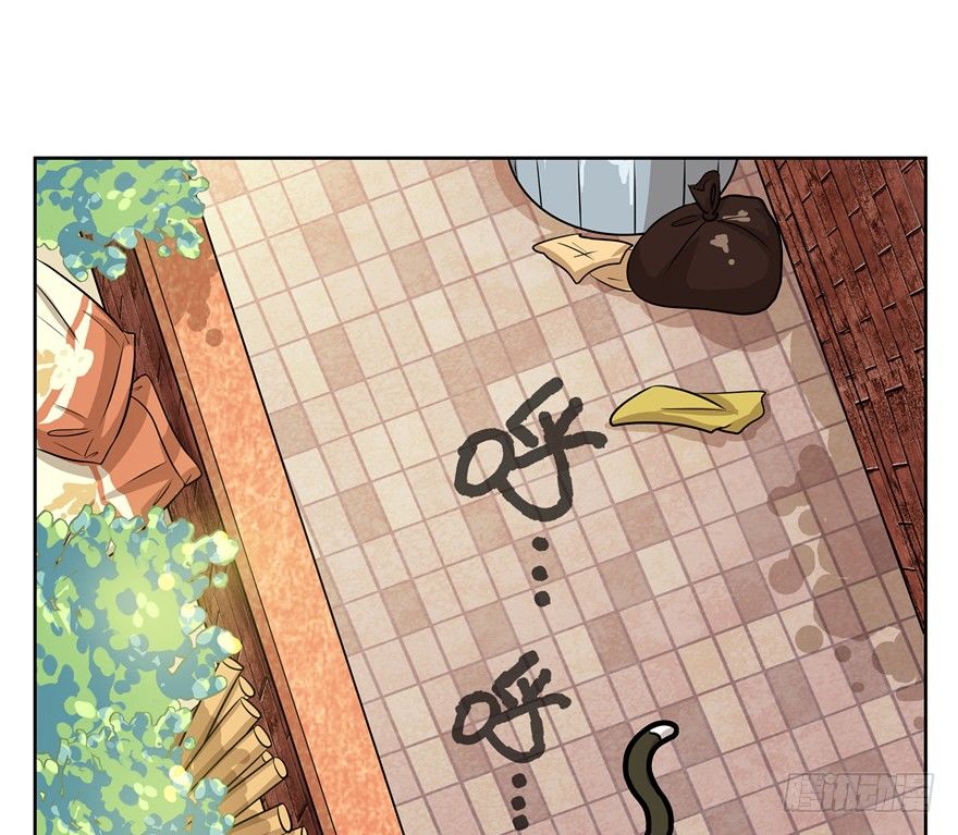 第3爪 做猫第一课（下）-第3话