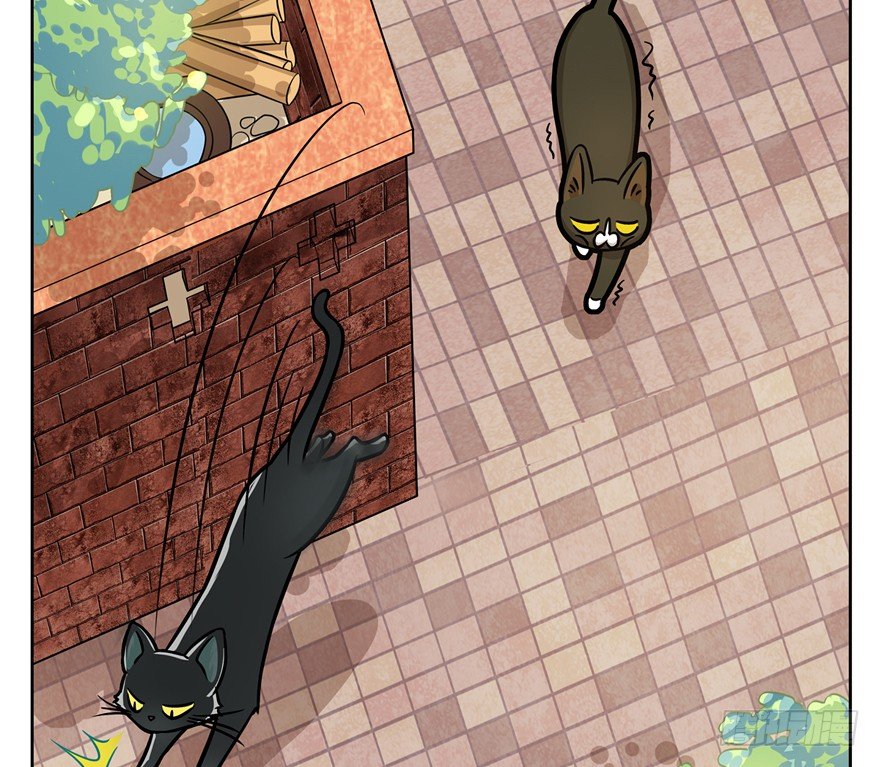 第3爪 做猫第一课（下）-第3话