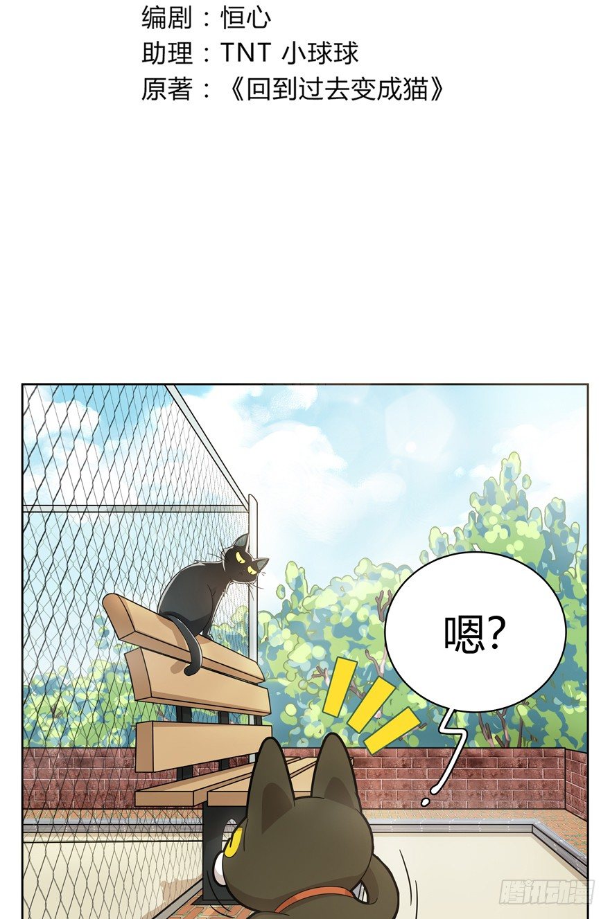 第21爪 夏天真好（下）-第21话