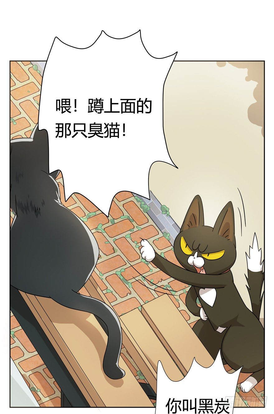 第21爪 夏天真好（下）-第21话
