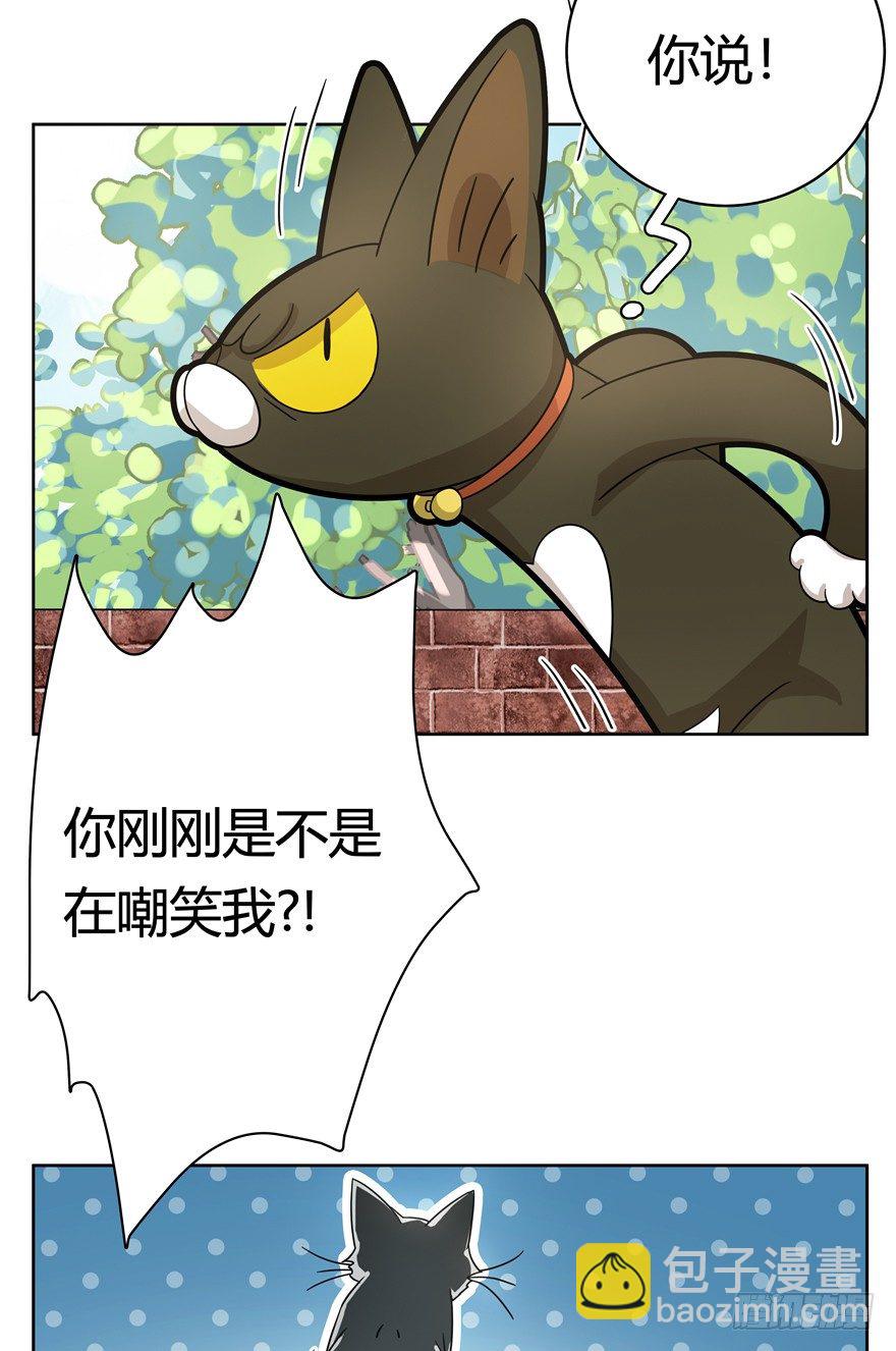 第21爪 夏天真好（下）-第21话