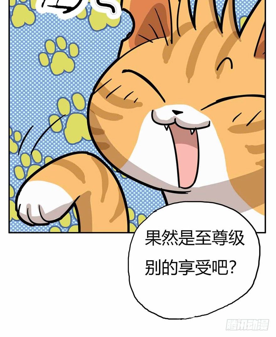 第27爪 猫之结界-第27话